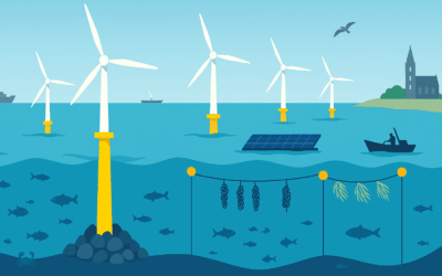 Multi-Use Szenarien für Offshore-Windparks: Forschungsartikel zeigt Chancen und Herausforderungen