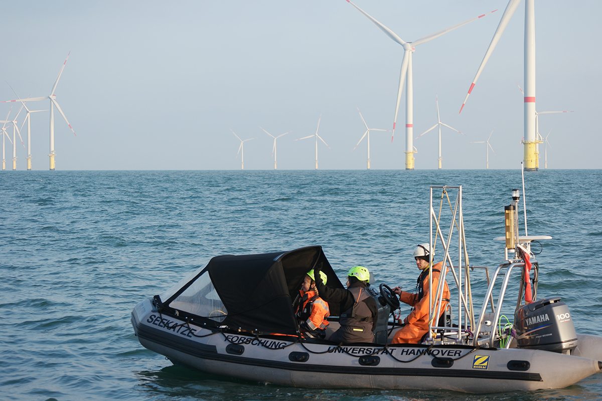 About Flexile Classic